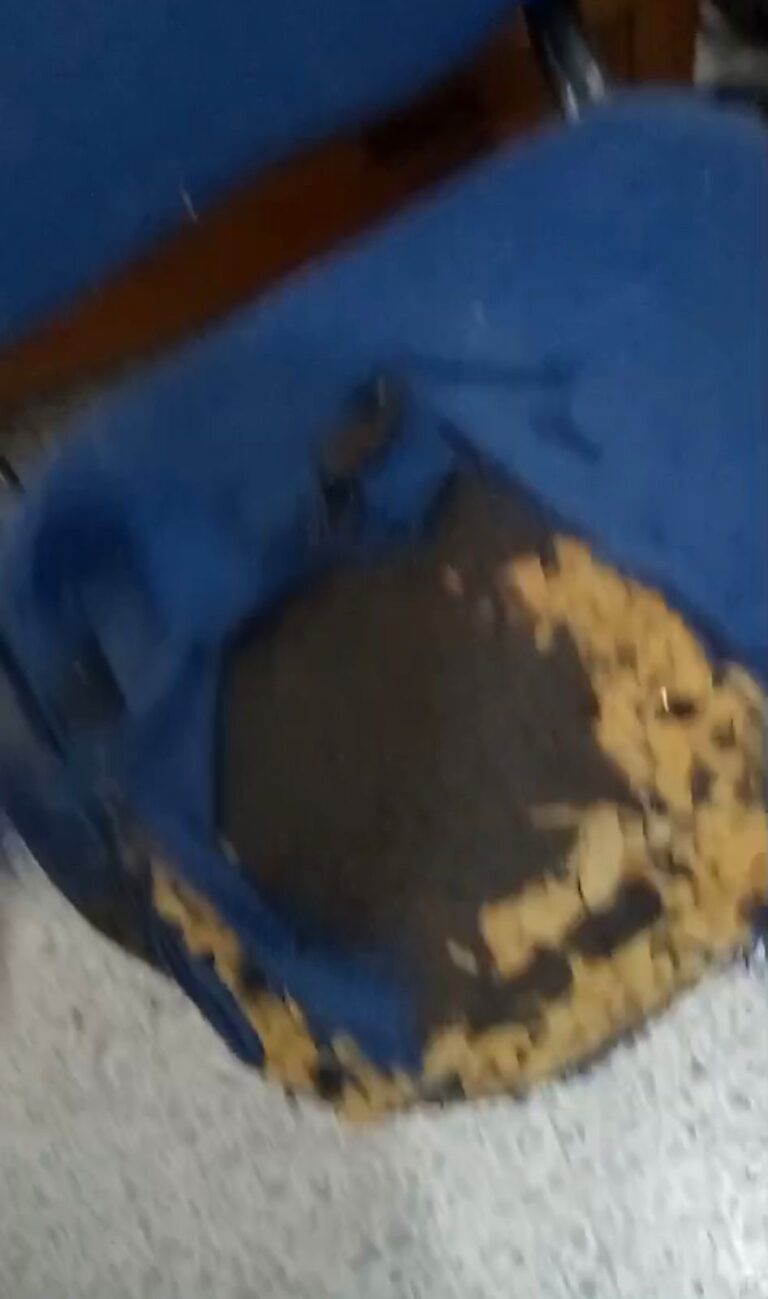 7fed52f8-27fc-400d-94a0-83e26fd20496