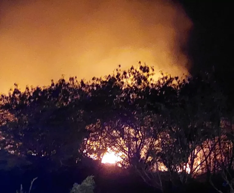 Incendio-San-Pedro-e1742570643543