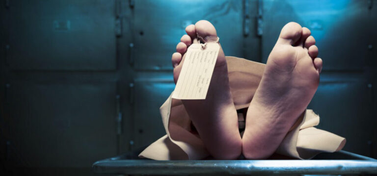 cadaver-1068x499