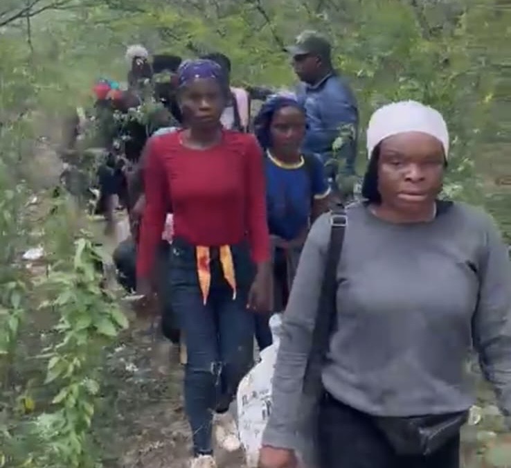 39eab72d-e4b4-417a-8290-373eb3a1806c-1