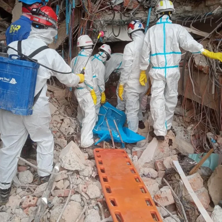 Buscando-en-escombros