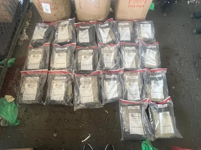 WhatsApp-Image-2025-04-12-at-11.18.32-AM-1 (1)