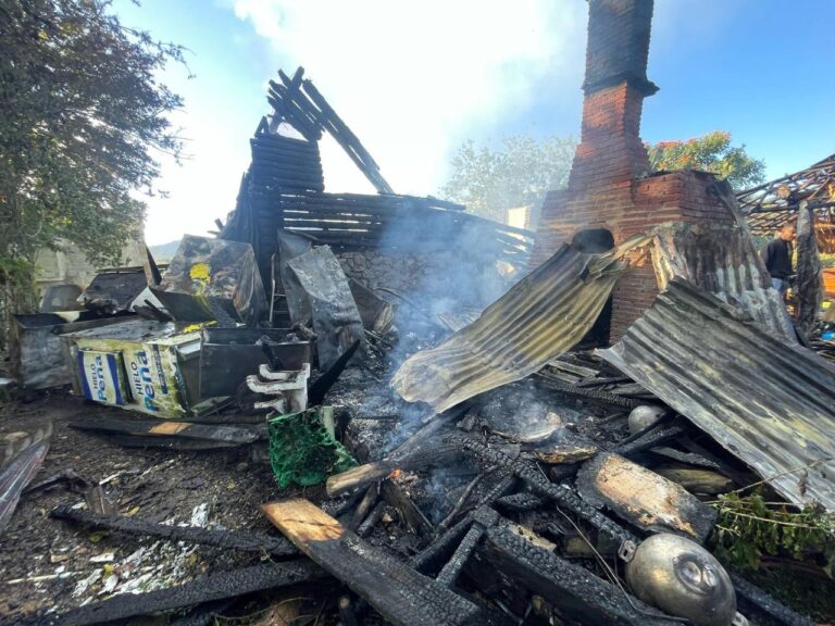 54bad1c3-4686-4b11-886a-3486bc743eb2