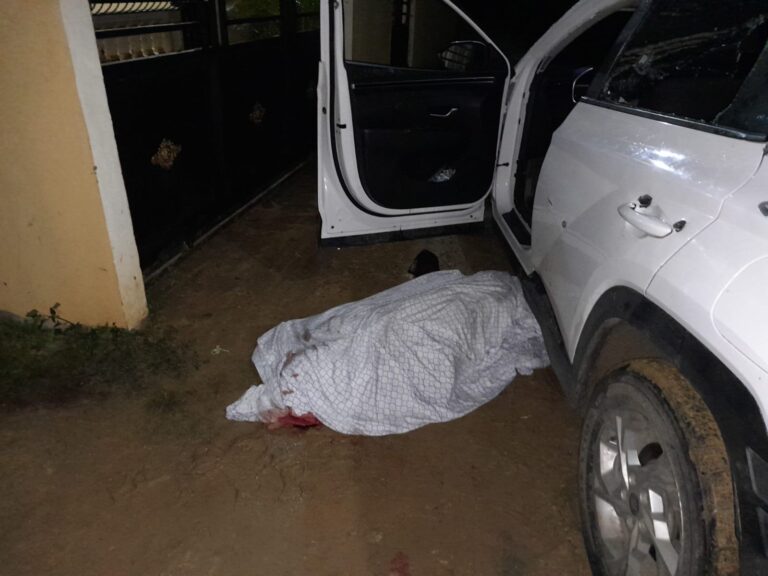 1b336b2b-af16-4ded-8a0d-4ce43acc5f72