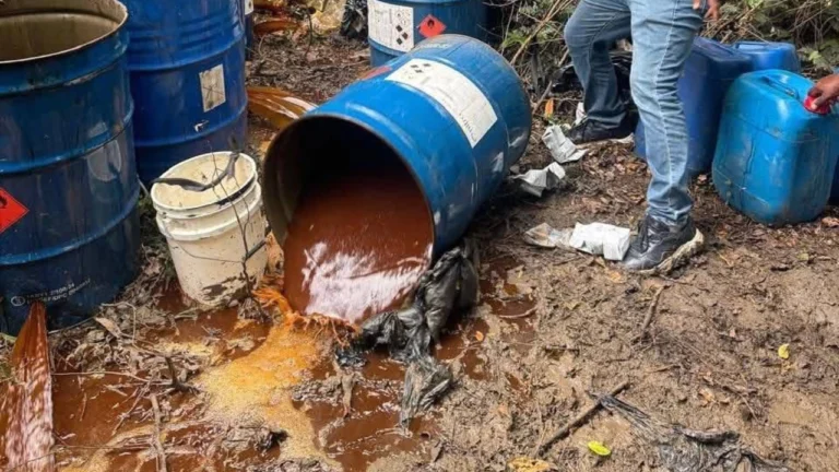 Desmantelan-laboratorios