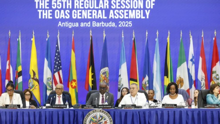 EE.UU_.-niega-amenazas-a-la-OEA (1)