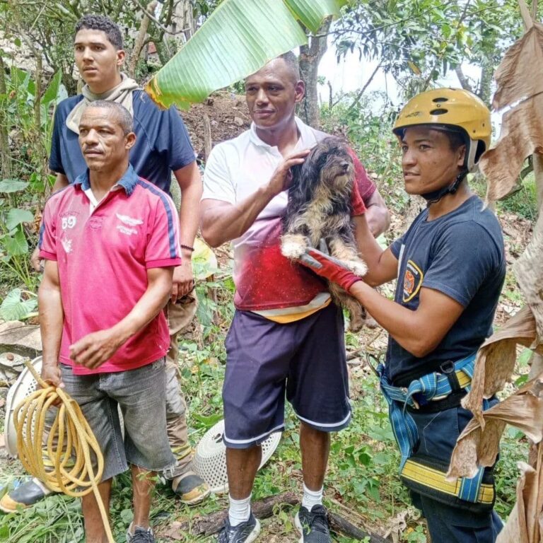 a558158d-12a9-480a-b24b-ac5578cfbe18