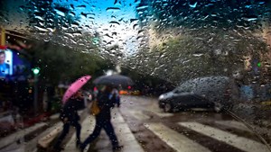 whatsapp-image-2024-09-25-at-202616