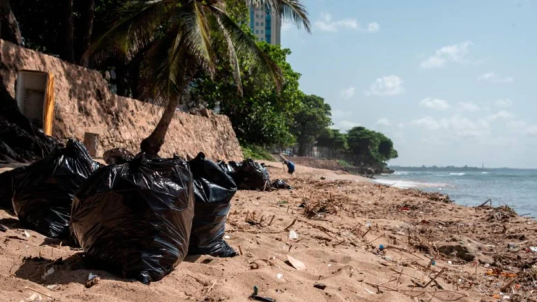 Medio-Ambiente-detiene-las-operaciones-de-limpieza-de-playa-en-Punta-Cana