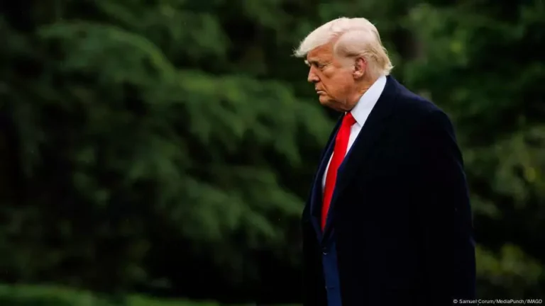 trump11