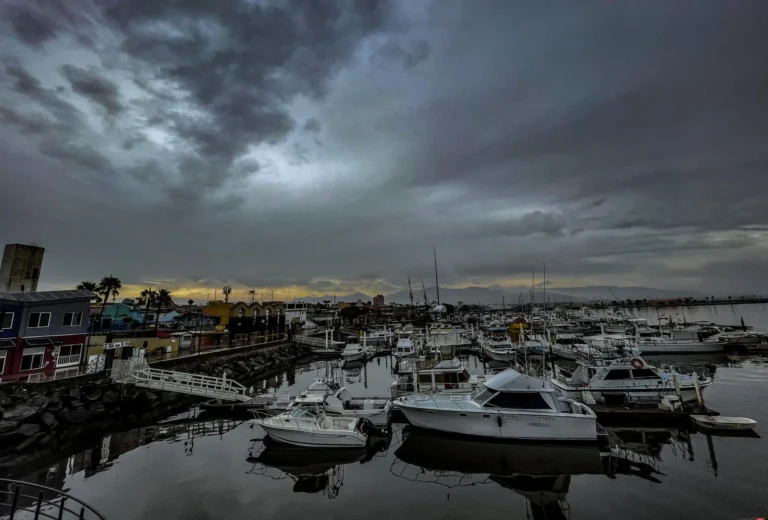 41543bd8a46a8b5e355795542638398818bea872w