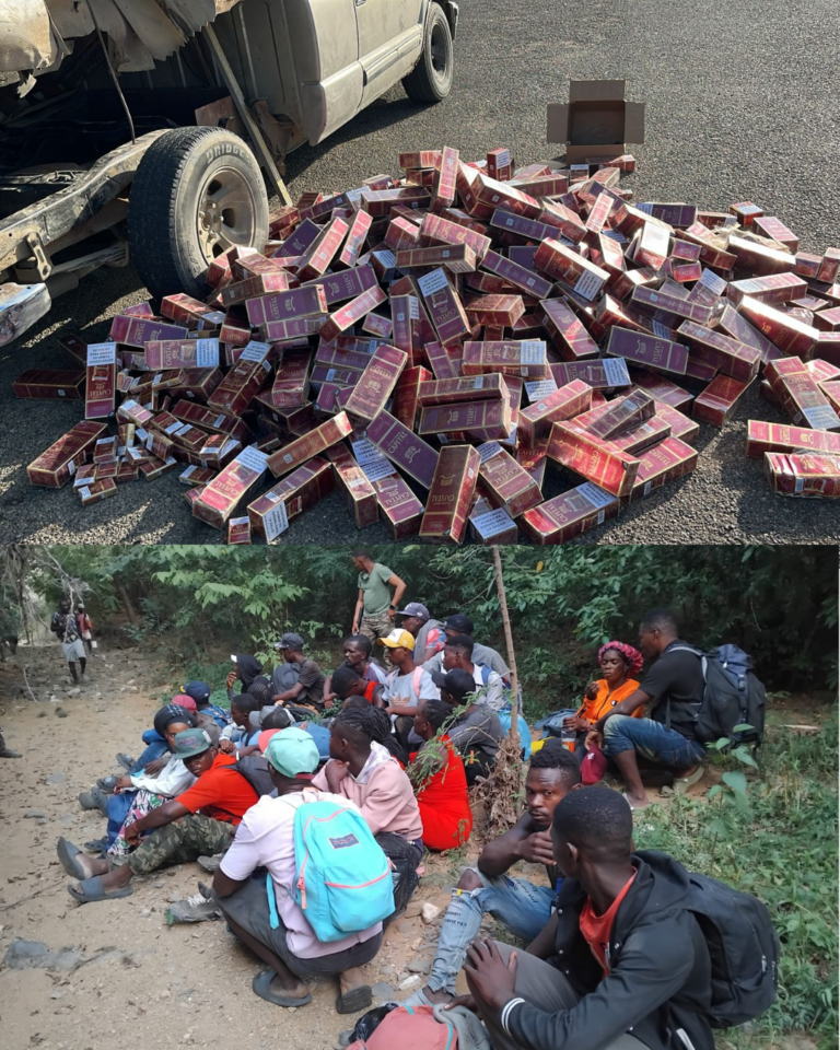 ELBA-PLANTILLA-2025-08-11T110722.857