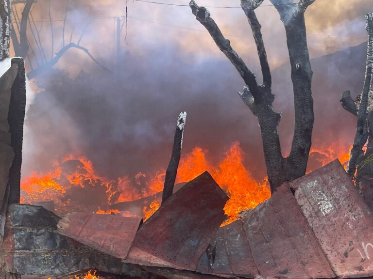 WhatsApp-Image-2025-08-22-at-3.06.18-PM