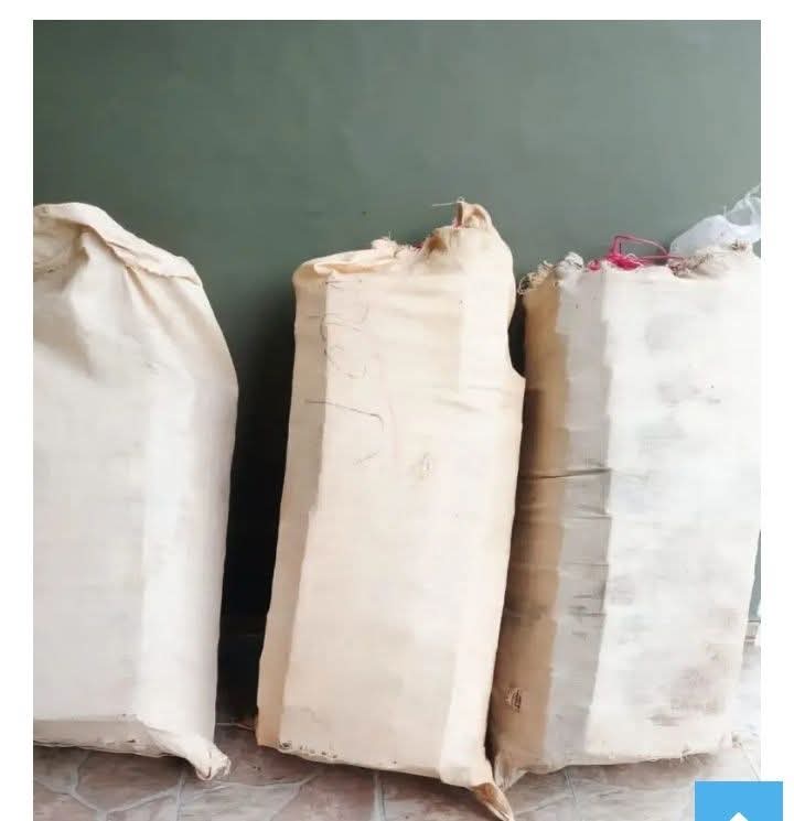 a49c0026-4fa3-45f2-91d4-f3e974b64eba