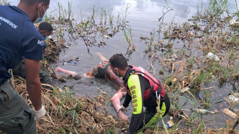 fd34cbdd-1196-46a7-b47d-563ca3669408