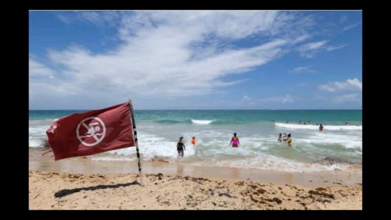 huracan-erin-nueva-york-cierra-playas-dos-dias-por-el-oleaje-614ae125-focus-0-0-896-504