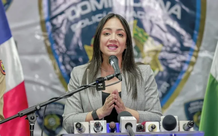 Ministra-Faride-Raful-Fuerza-de-Tarea-Conjunta-13-1-2025-1080x675-1