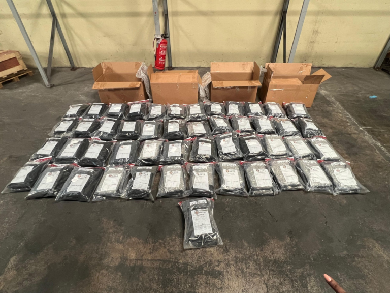 WhatsApp-Image-2025-09-10-at-9.28.35-AM-1-scaled-1