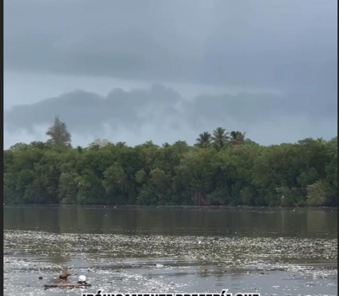 WhatsApp-Image-2025-09-18-at-14.05.33