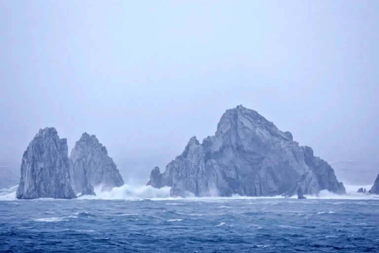 c0b5de48bfa40a76bf3f48e7a391608d6908da9cw