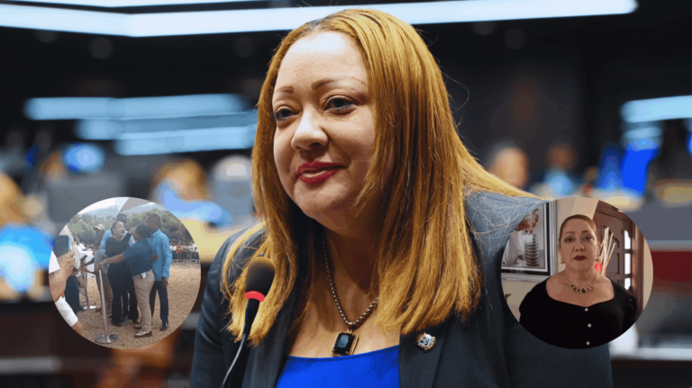 diputada-fiordaliza-estevez-se-enfrenta-a-agente-del-cusep-en-inauguracion-de-obras-en-puerto-plata-2048x1148-1