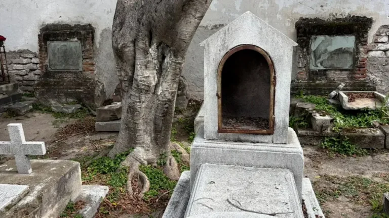 upos-criminales-ocultan-cuerpos-en-panteones-de-Guanajuato-Fiscalia-admite