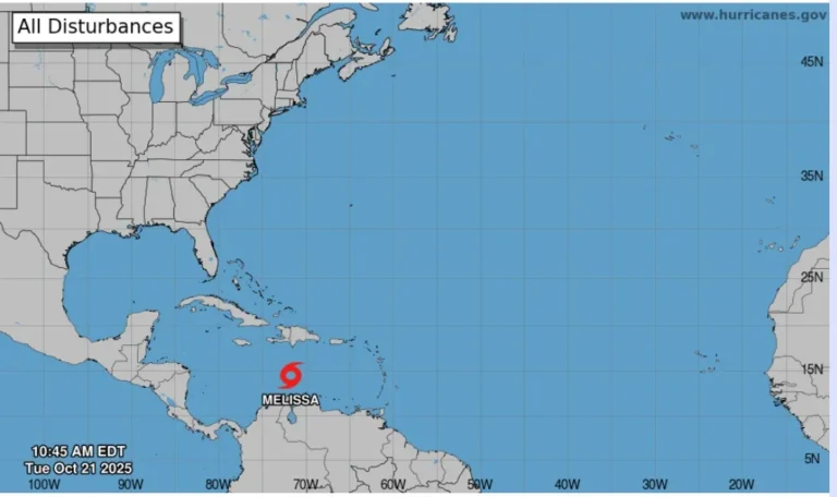 WhatsApp-Image-2025-10-21-at-11.09.27-AM