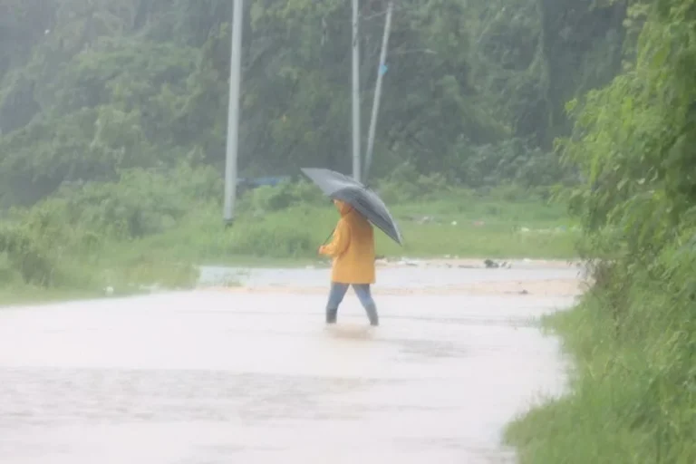 WhatsApp-Image-2025-10-24-at-12.01.02-PM-900x600