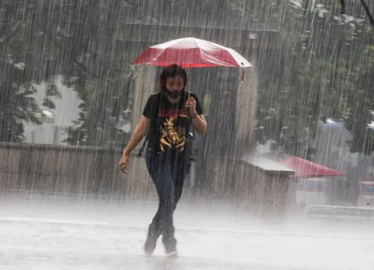 image-documentation-fotos-1-10212899-5284a6_44316945_20240202095108