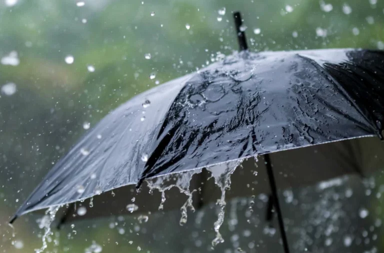 Captura-de-pantalla-2025-06-16-072808