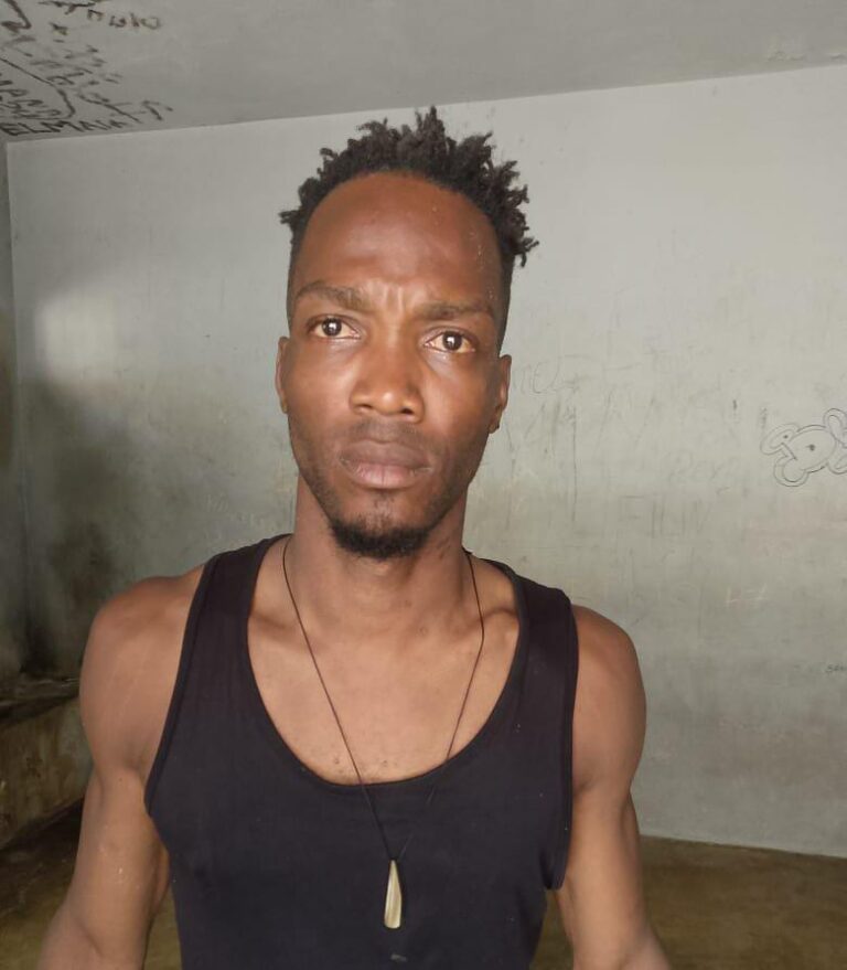 WhatsApp-Image-2025-11-13-at-10.27.08-AM