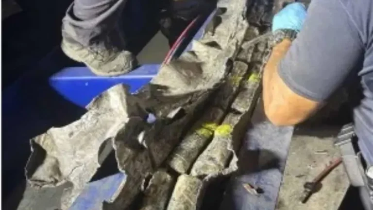 chasiss2-235be961-focus-0-0-896-504