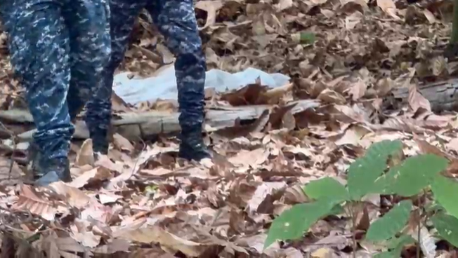 Captura-de-pantalla-2026-01-12-153004