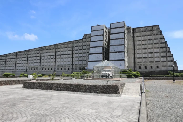 WhatsApp-Image-2026-01-12-at-17.26.21