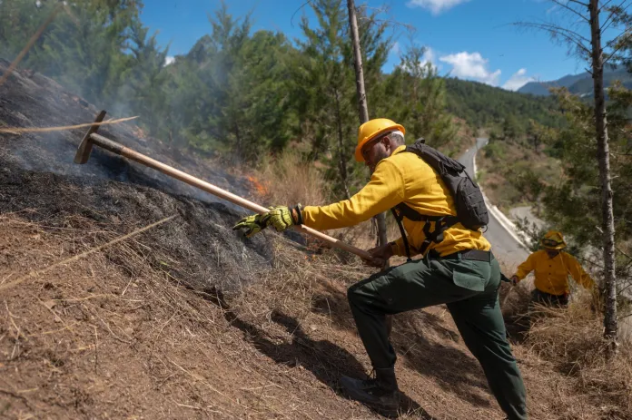 WhatsApp-Image-2026-02-21-at-9.18.05-AM