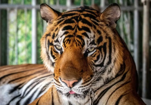 image-2026-02-21T115521.547