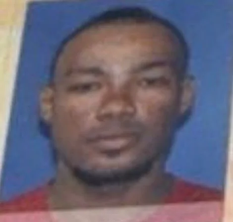 29788cf8-064f-4698-b6a7-3062871f59f9