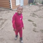 393518e6-5422-4d9e-a5e5-600fdf3ee085