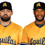 Dominguez-Ramos-900x525