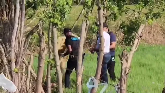 WhatsApp-Image-2026-04-20-at-8.09.08-PM