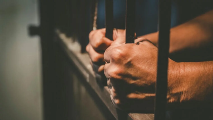 image-2026-04-27T163429.547