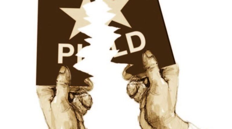 dividir-el-pld-800x445